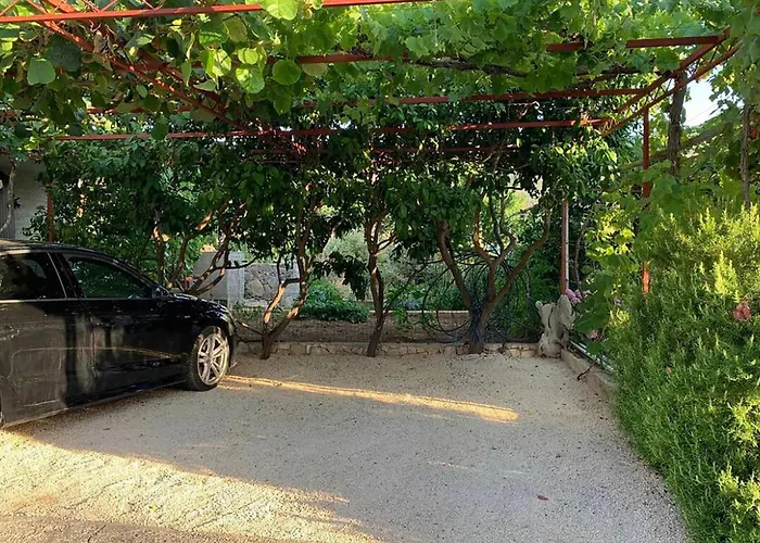 Gorgeous In Apartment